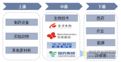 2025年中国生物手艺行业市场规模及财产链