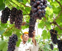 欢送拜候安徽省景象形象局官网！